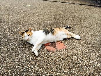 资深开发者：3A游戏当前处于一种尴尬的中间地带