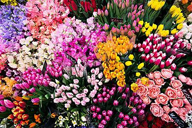 《勇敢的哈克》开发商：为Xbox移植游戏是一场噩梦